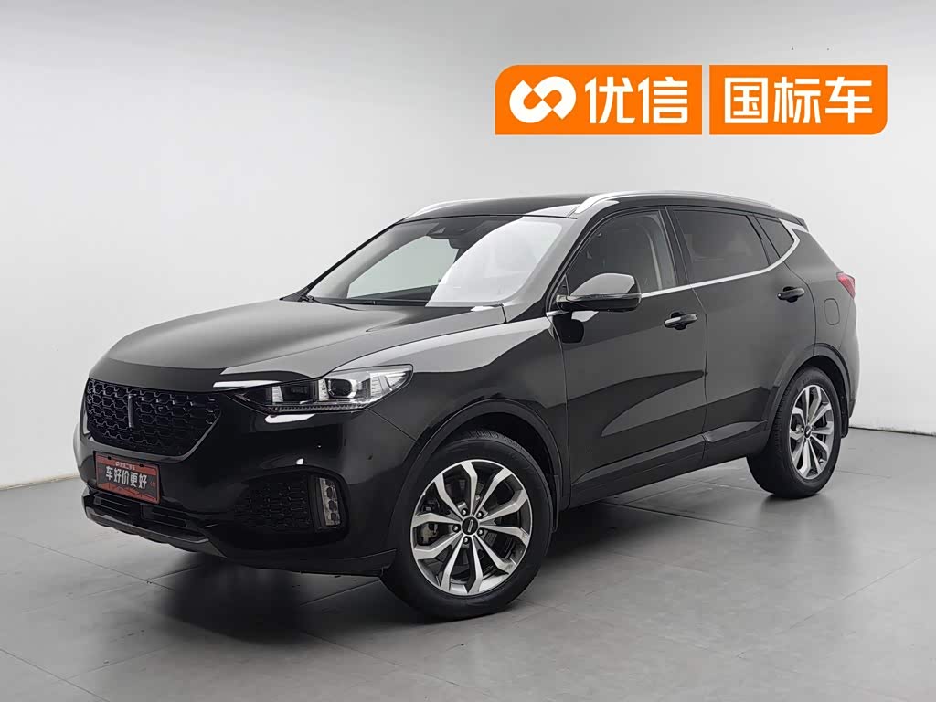 Wey VV6