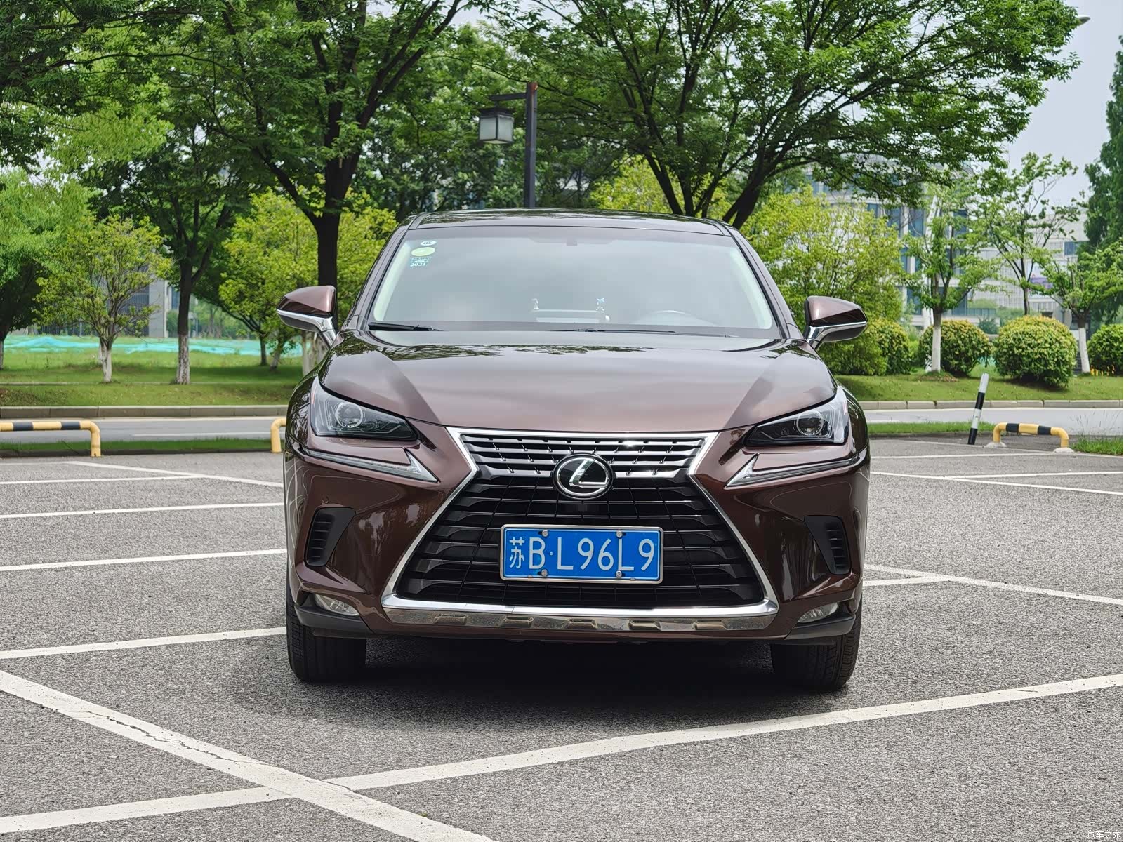 Lexus NX, 2019 2
