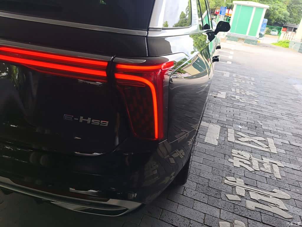 Hongqi E-HS9, 2023 8