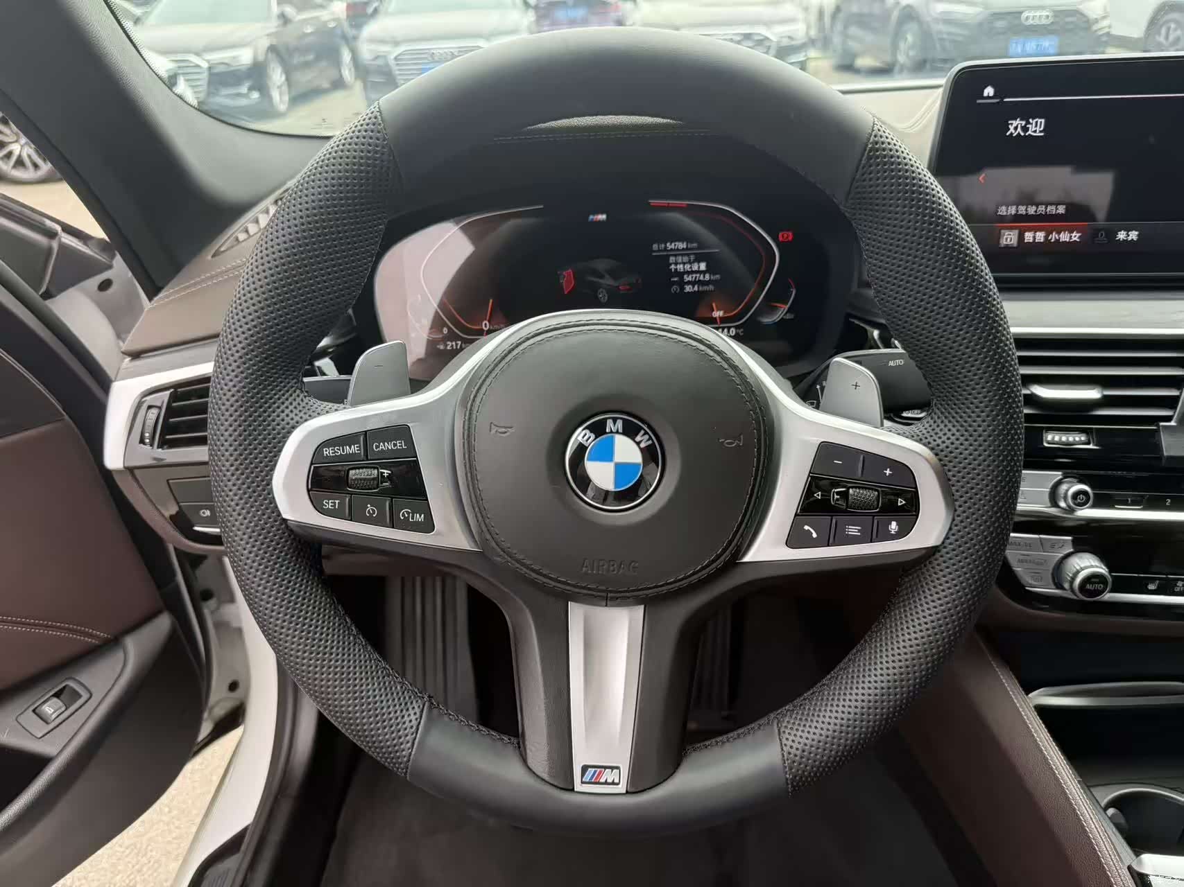 BMW 5 Series, 2021 7