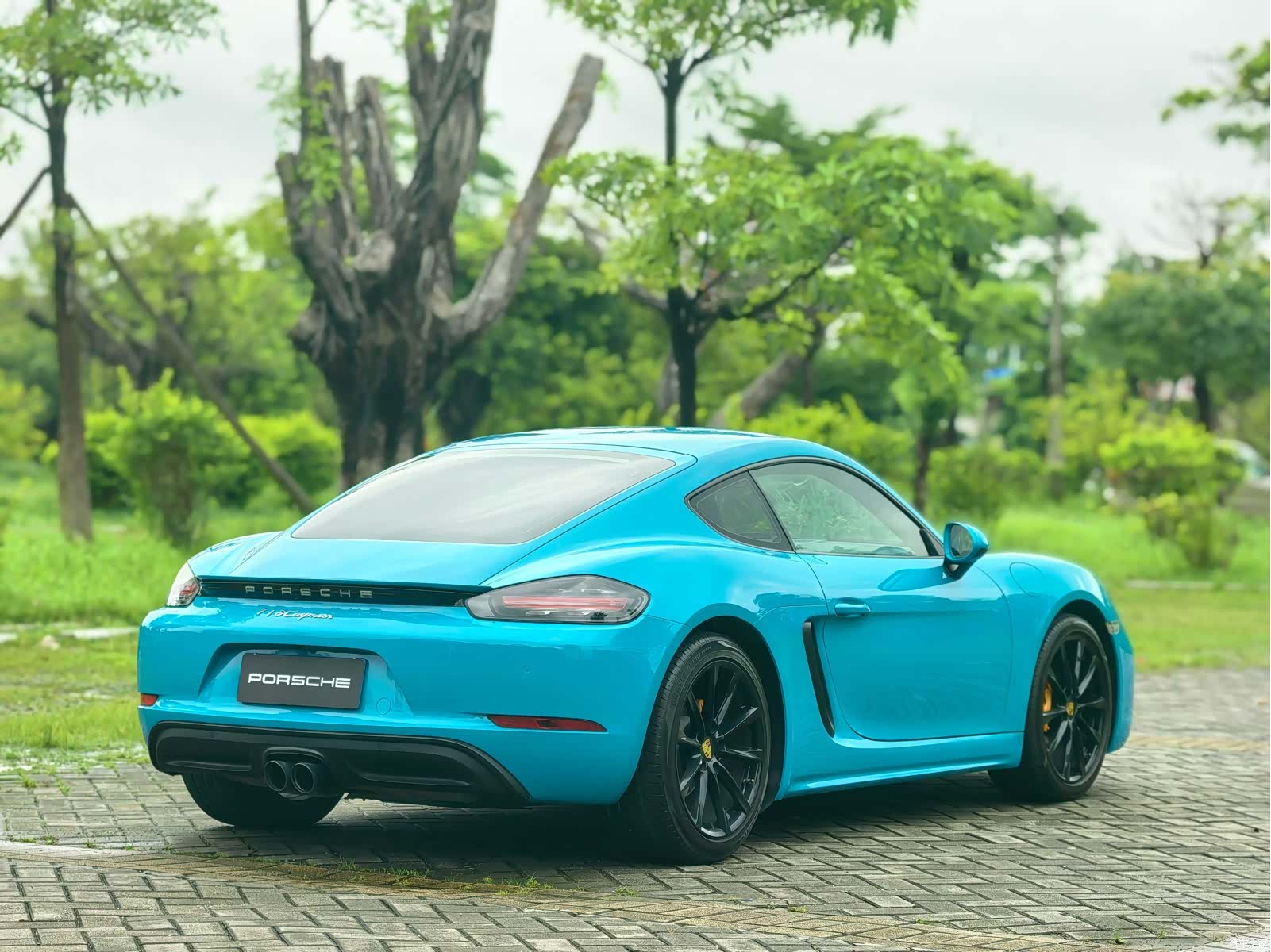 Porsche Cayman, 2017 все фото