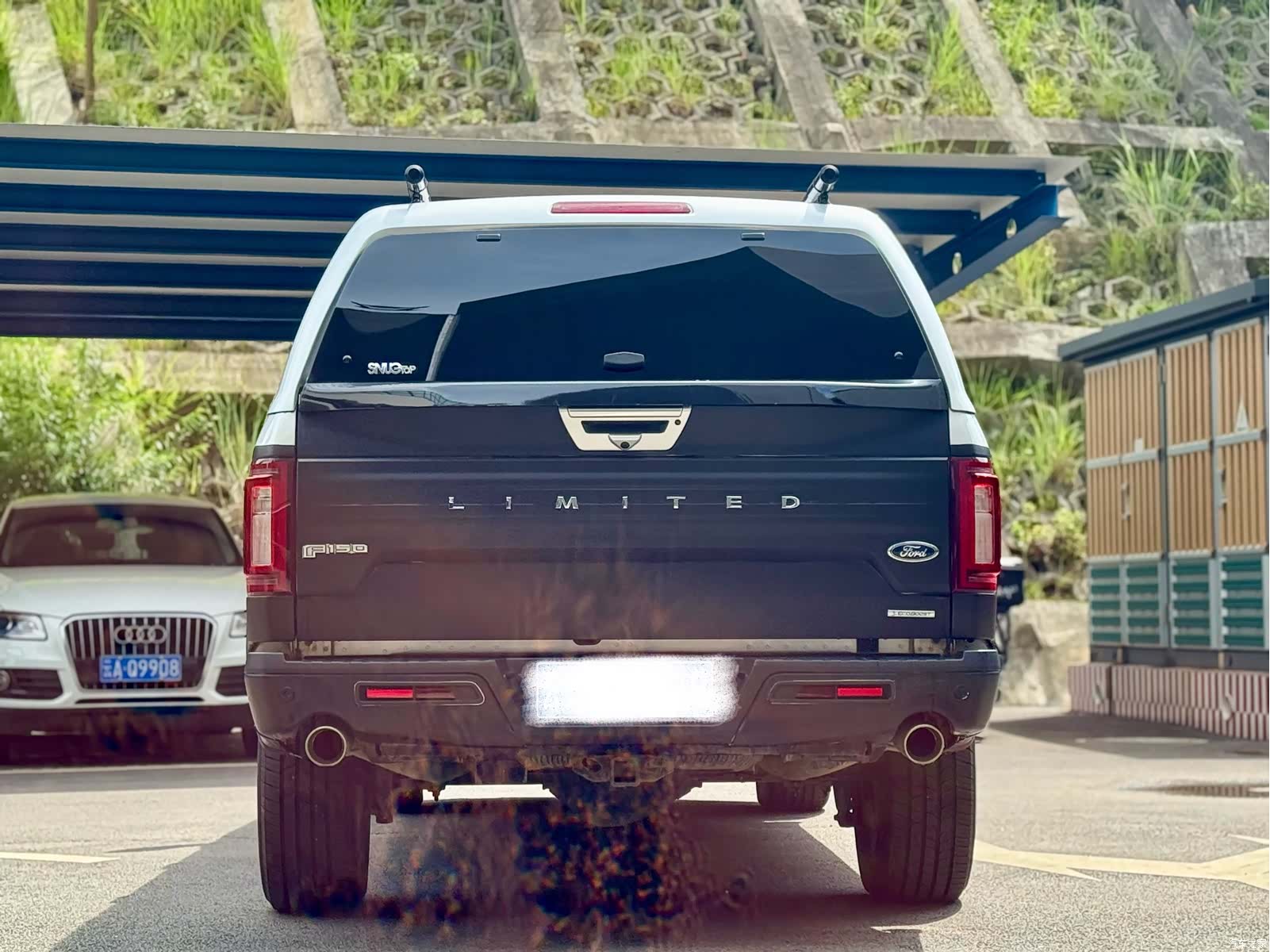 Ford F-150, 2020 все фото