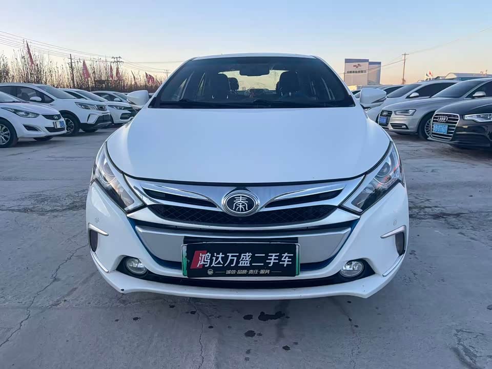 BYD Qinxin Energy