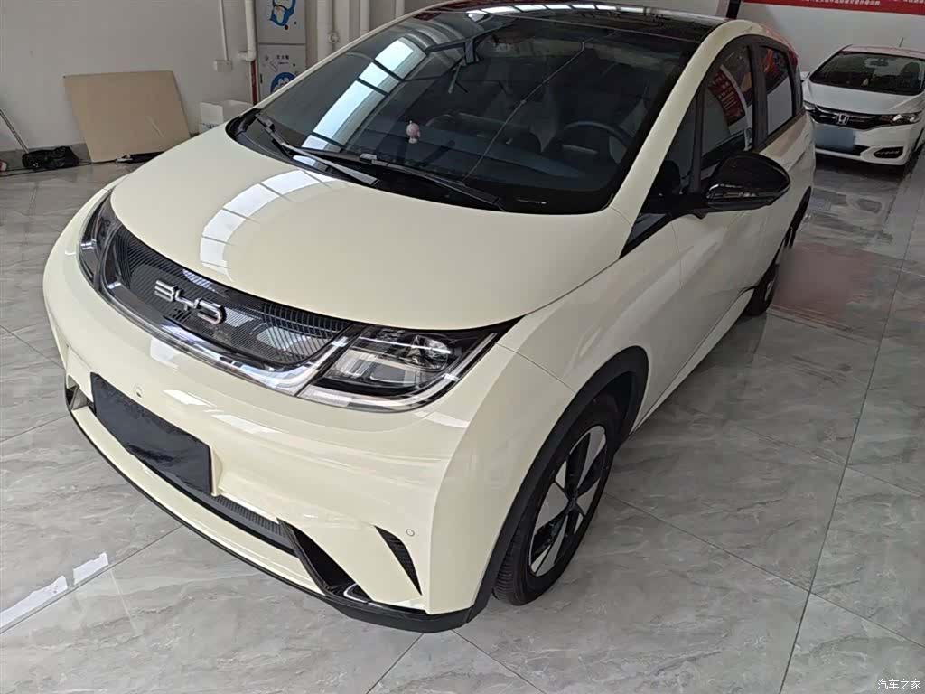 BYD Dolphin, 2024 2