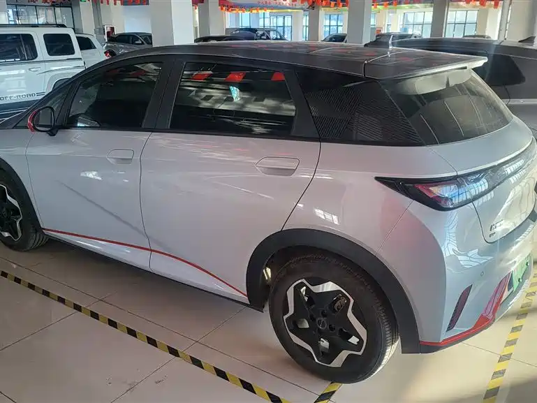 BYD dolphin