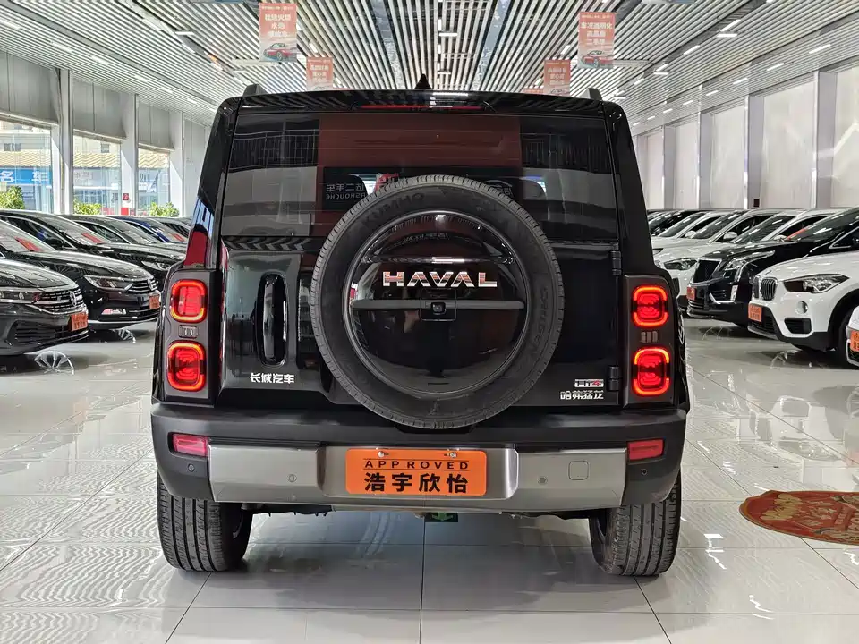 Haval Raptors
