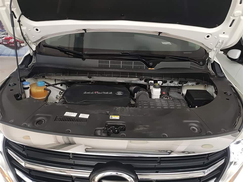 Trumpchi Trumpchi M8