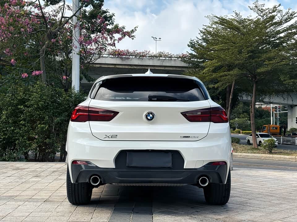 BMW X2