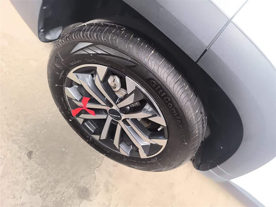 Haval Big dog