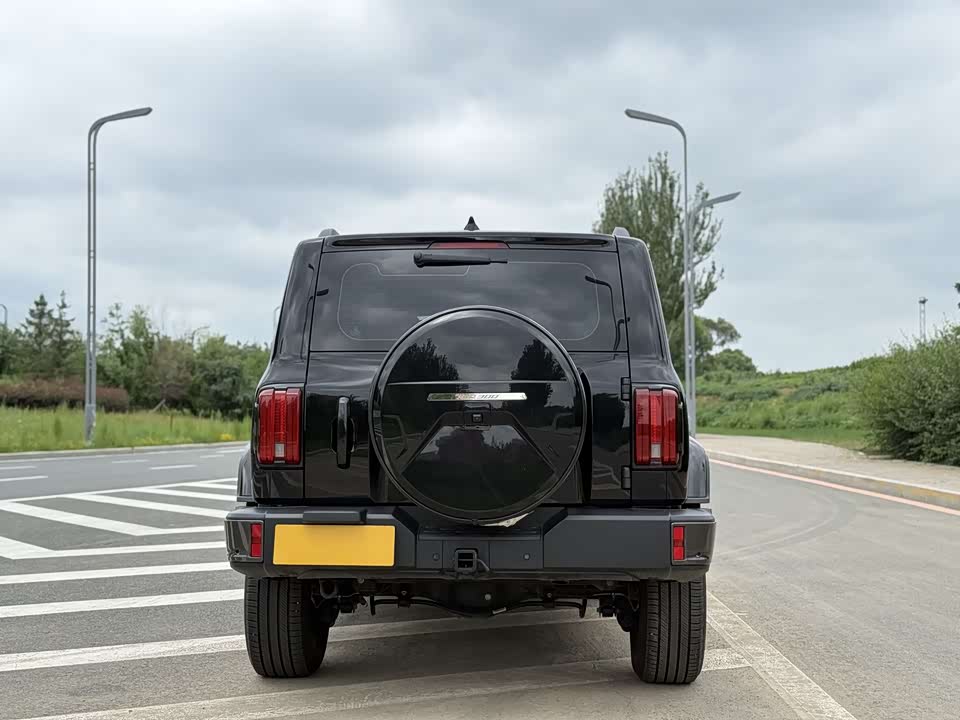 Tank 300