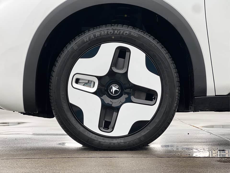 ARCFOX Polar fox koala