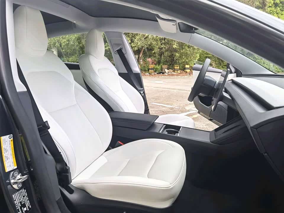 Tesla Model 3 Tesla Model 3