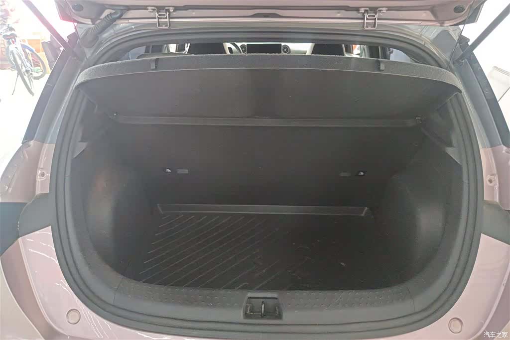 BYD Dolphin, 2022 4