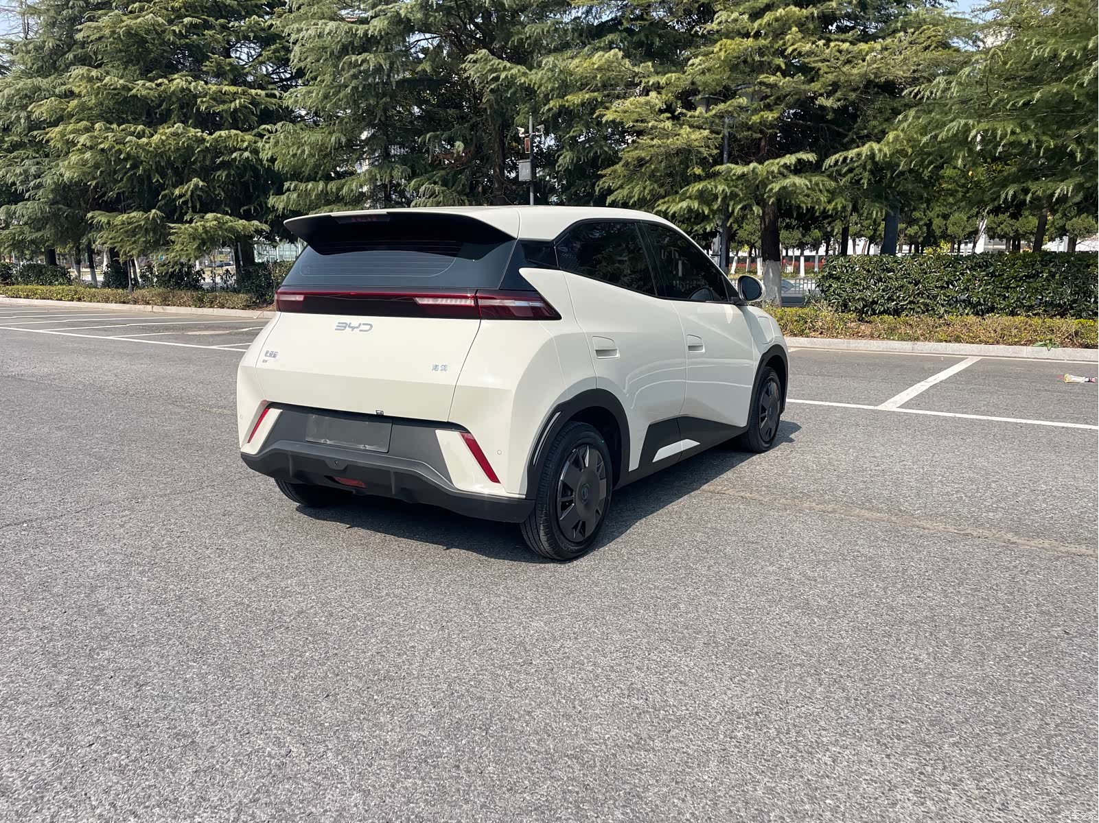 BYD Seagull, 2025 3