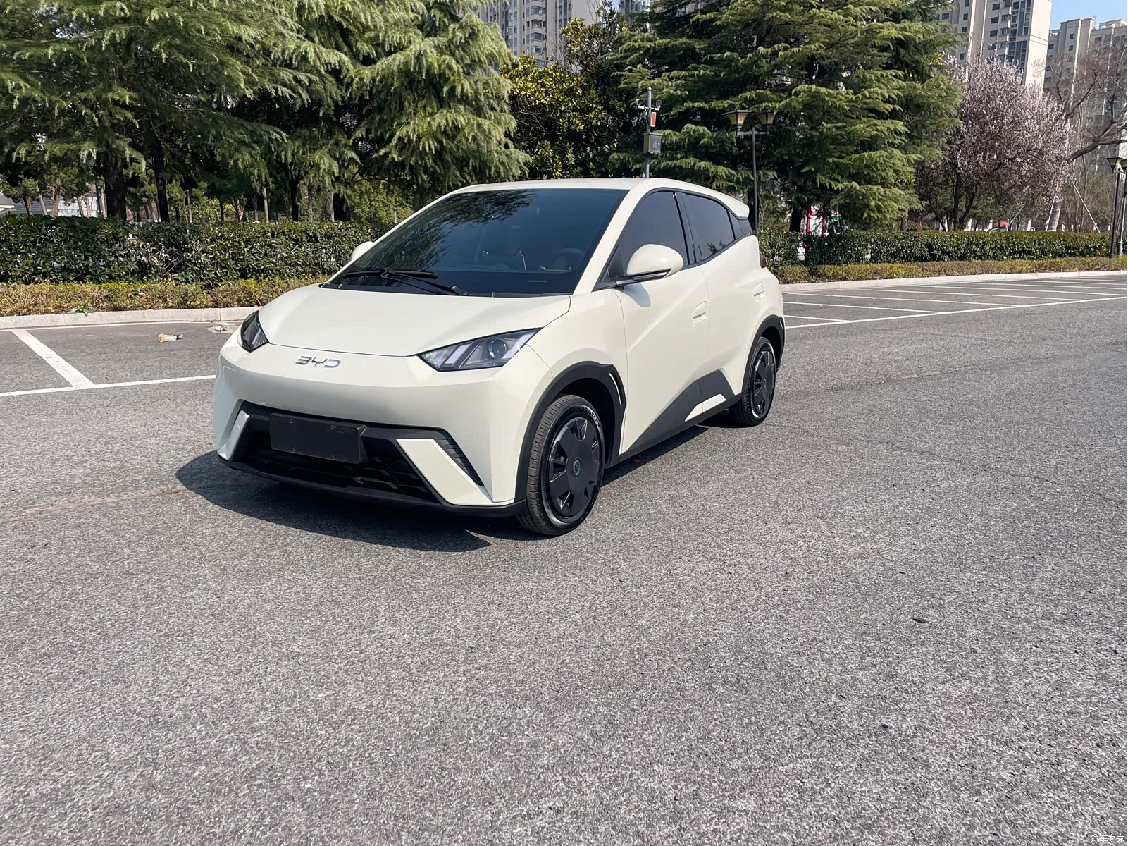 BYD Seagull, 2025 1
