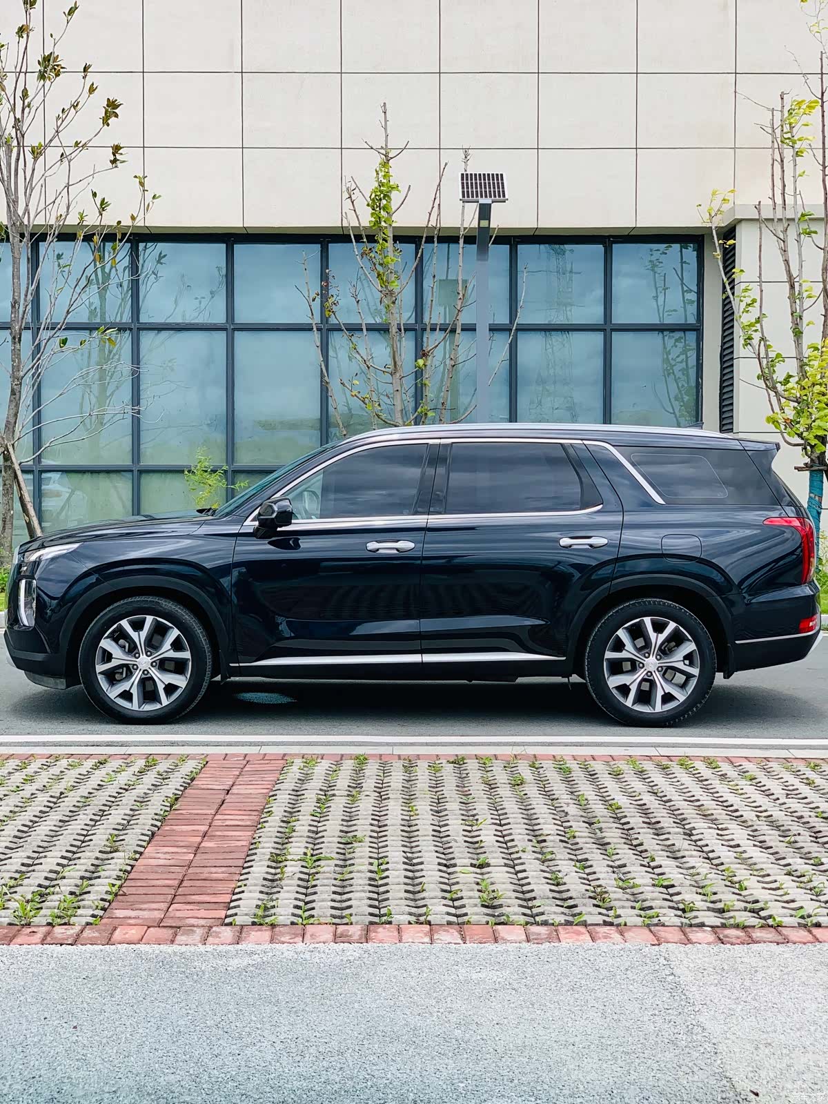 Hyundai Palisade, 2021 4