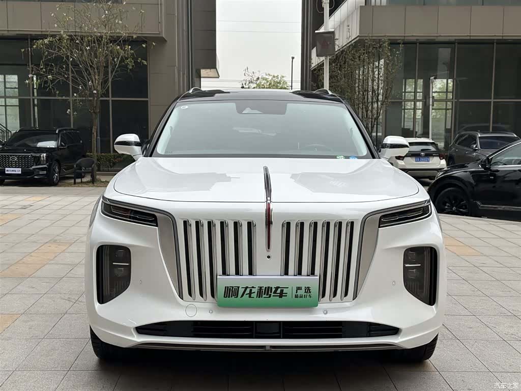 Hongqi E-HS9, 2023 4