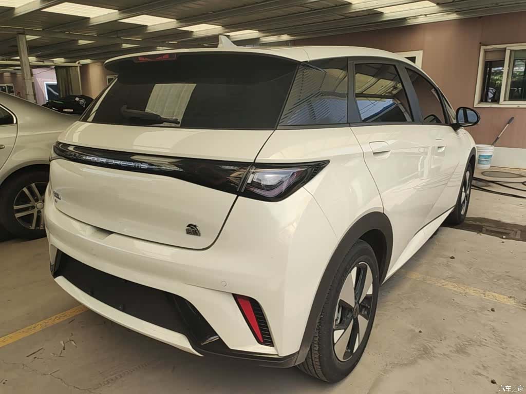 BYD Dolphin, 2024 7