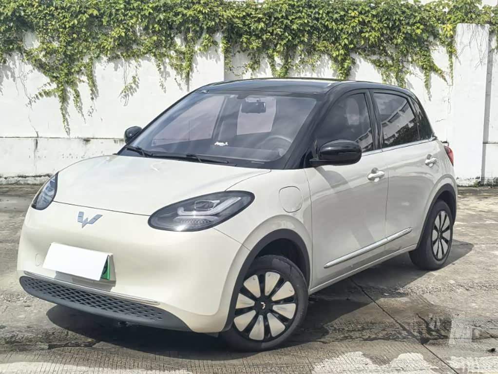 Wuling Binguo