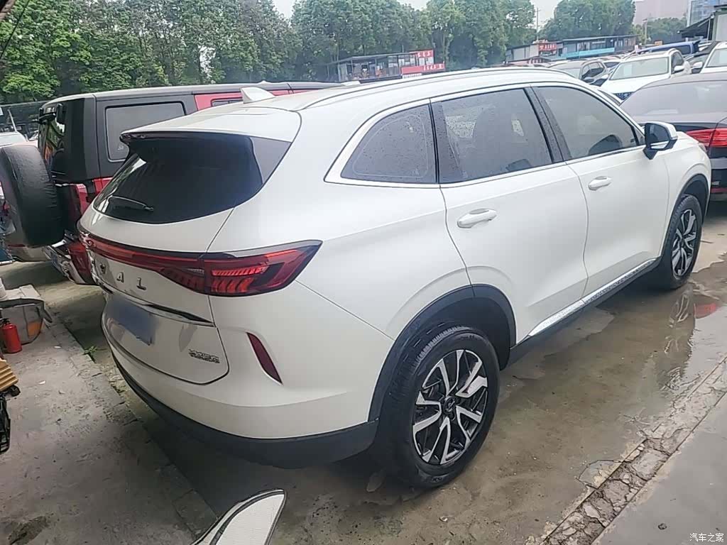 Haval H6, 2021 все фото