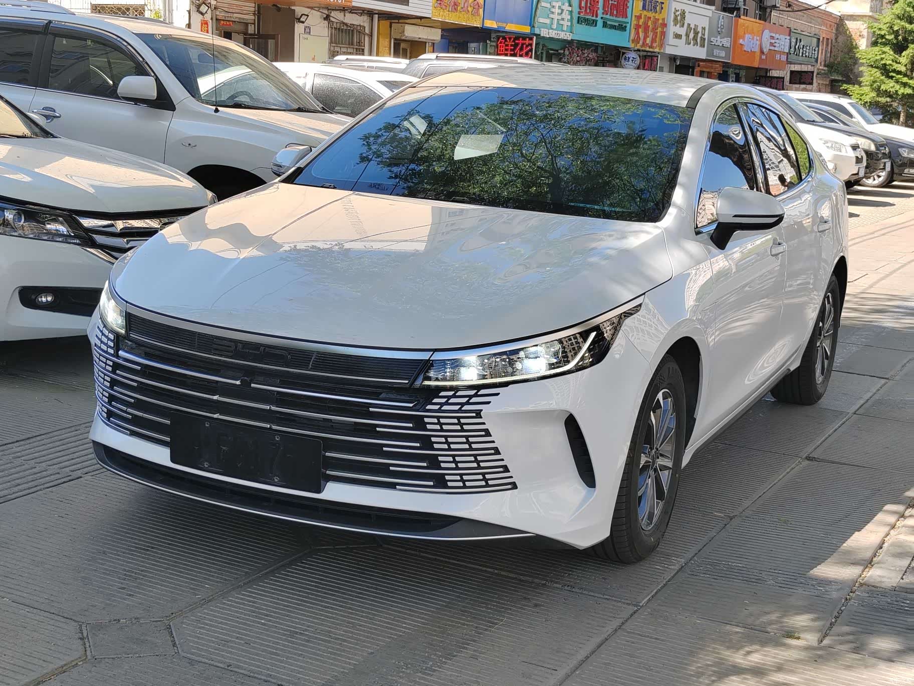 BYD Destroyer 05, 2024 2