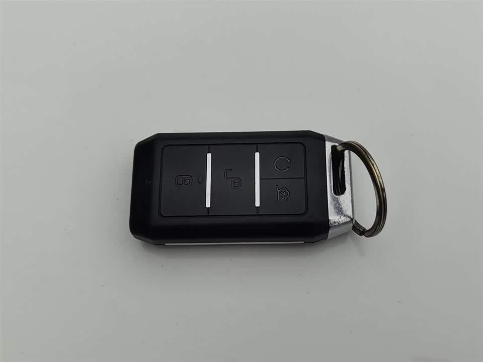 BYD Qinxin Energy