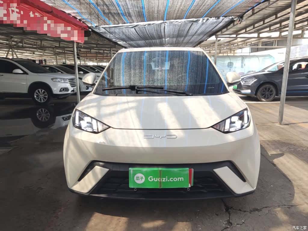 BYD Seagull, 2024 3