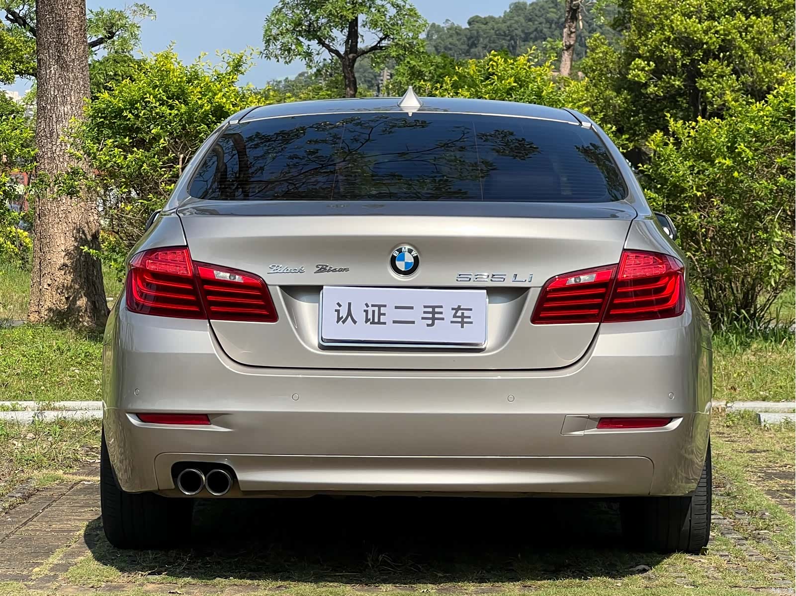 BMW 5 Series, 2015 6