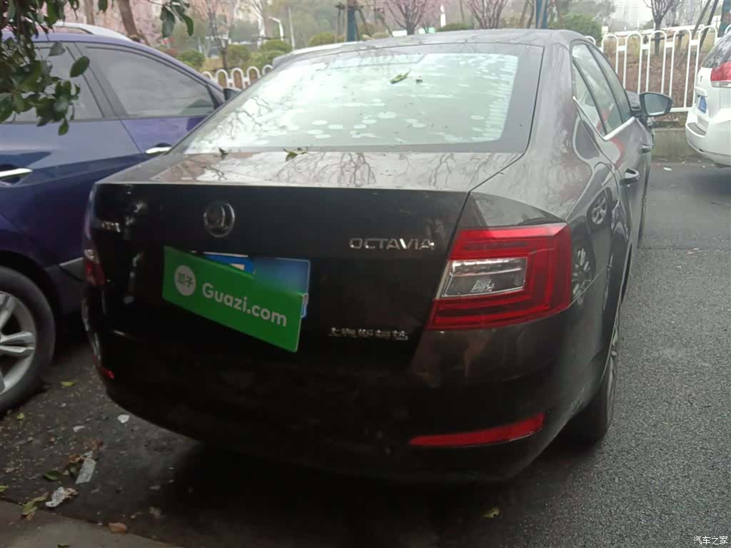 Skoda Octavia, 2017 4