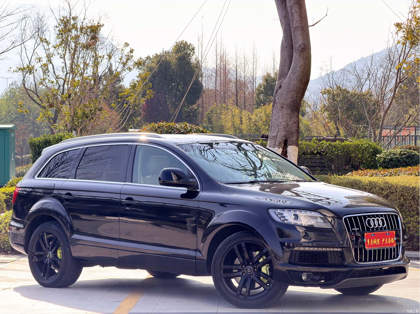 Audi Q7, 2007 3