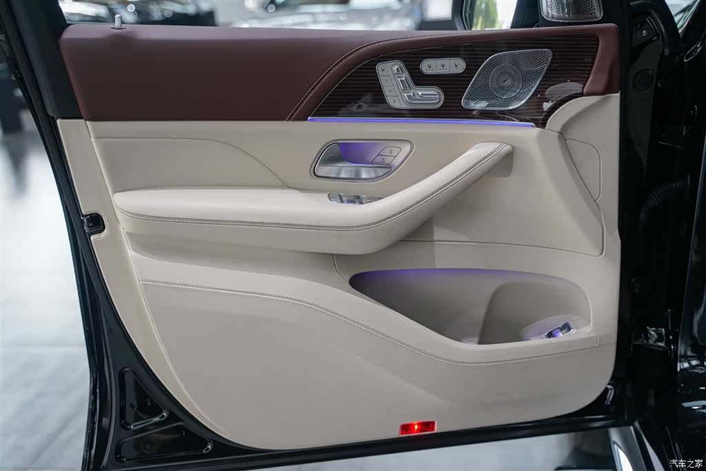 Maybach GLS, 2021 10