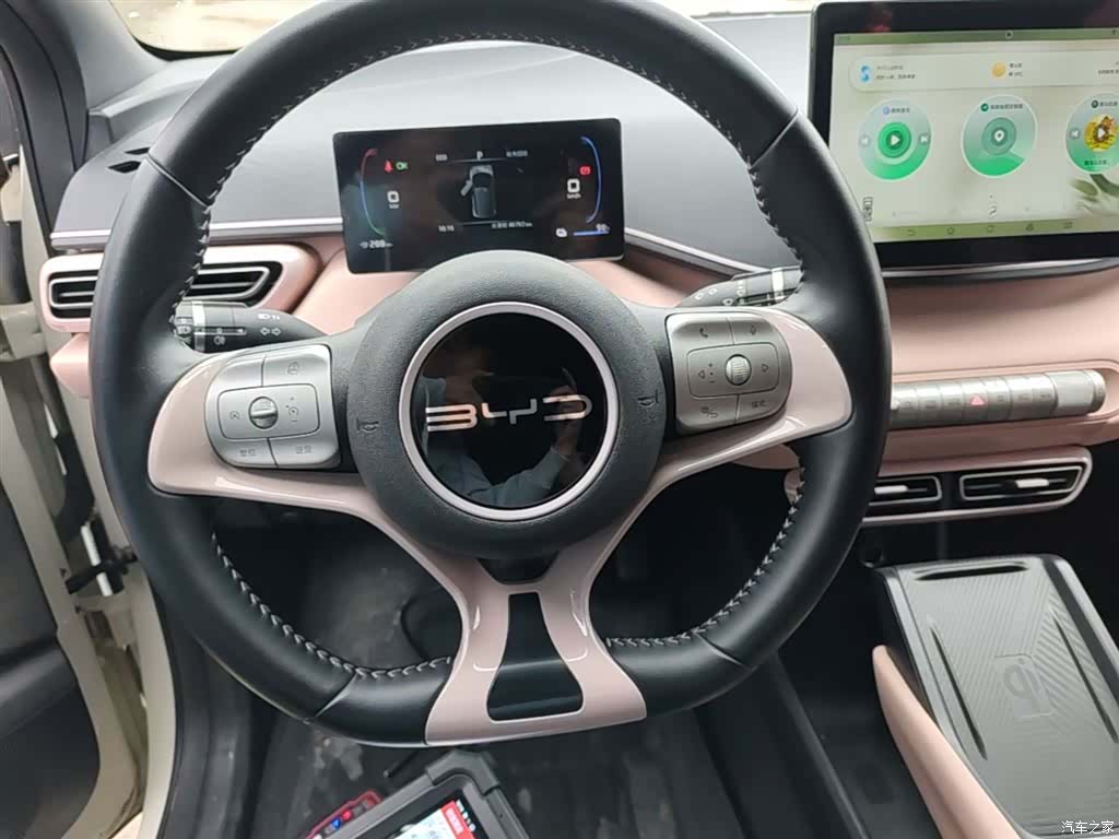 BYD Seagull, 2023 11