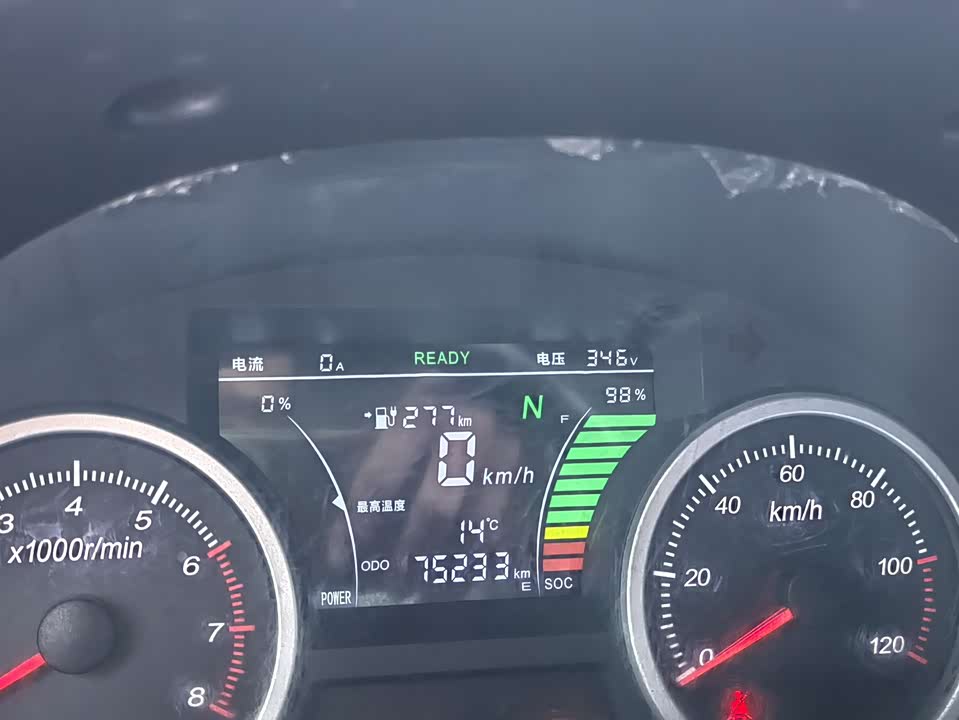 Golden Dragon Sea lion