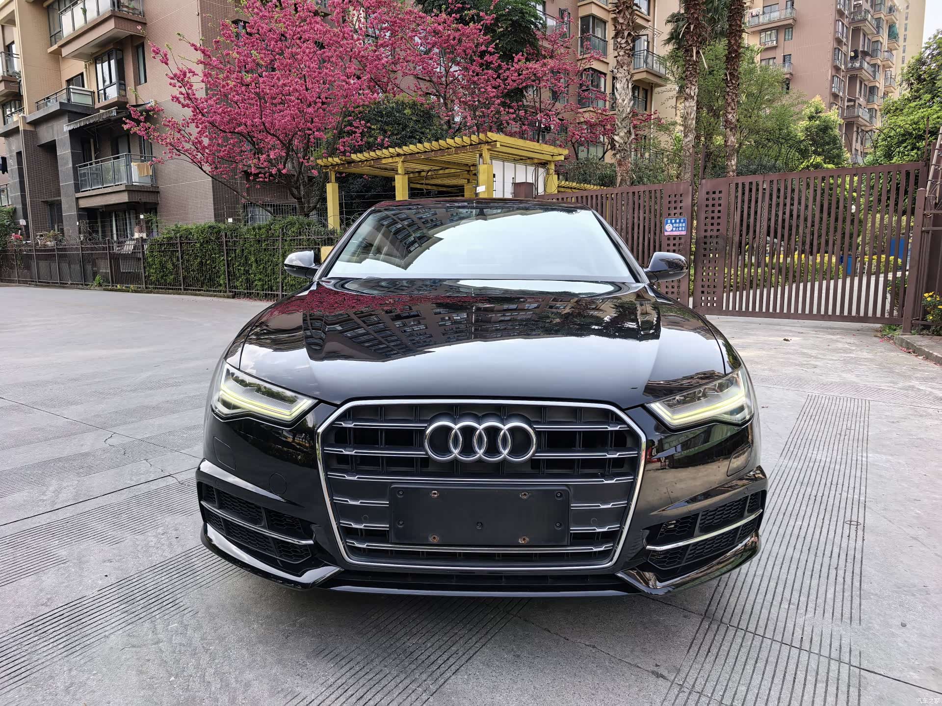Audi A6L, 2019 1
