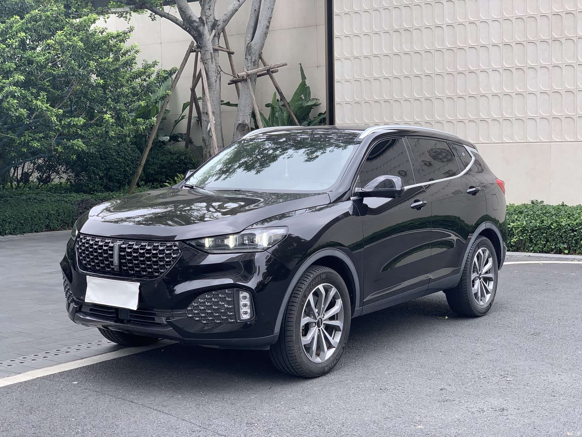 WEY VV6, 2020 1