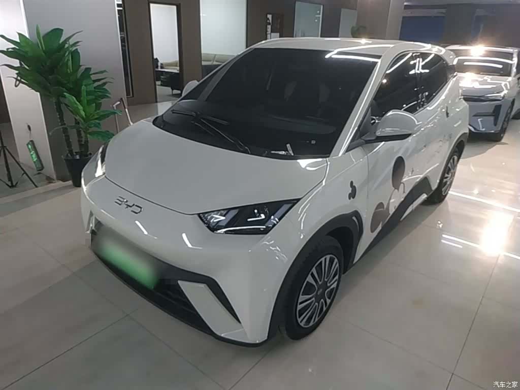 BYD Seagull, 2025 2