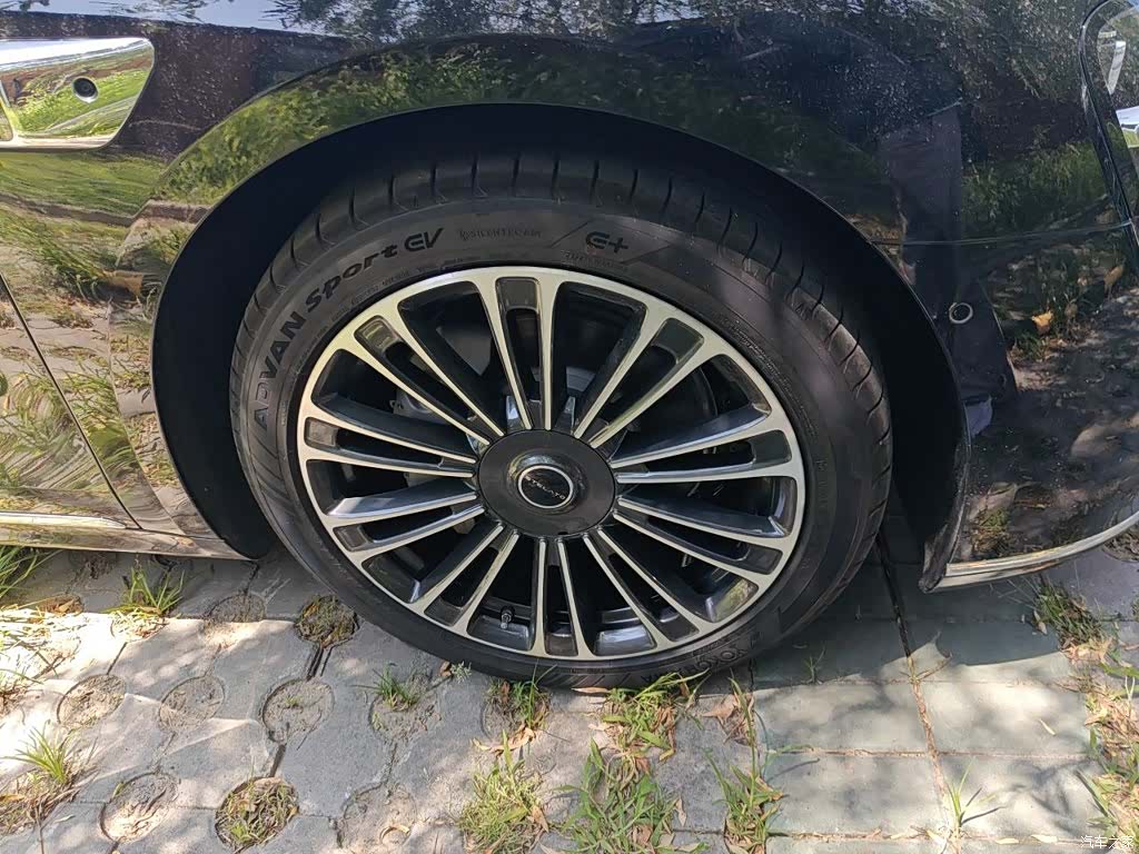 Stelato S9, 2025 8