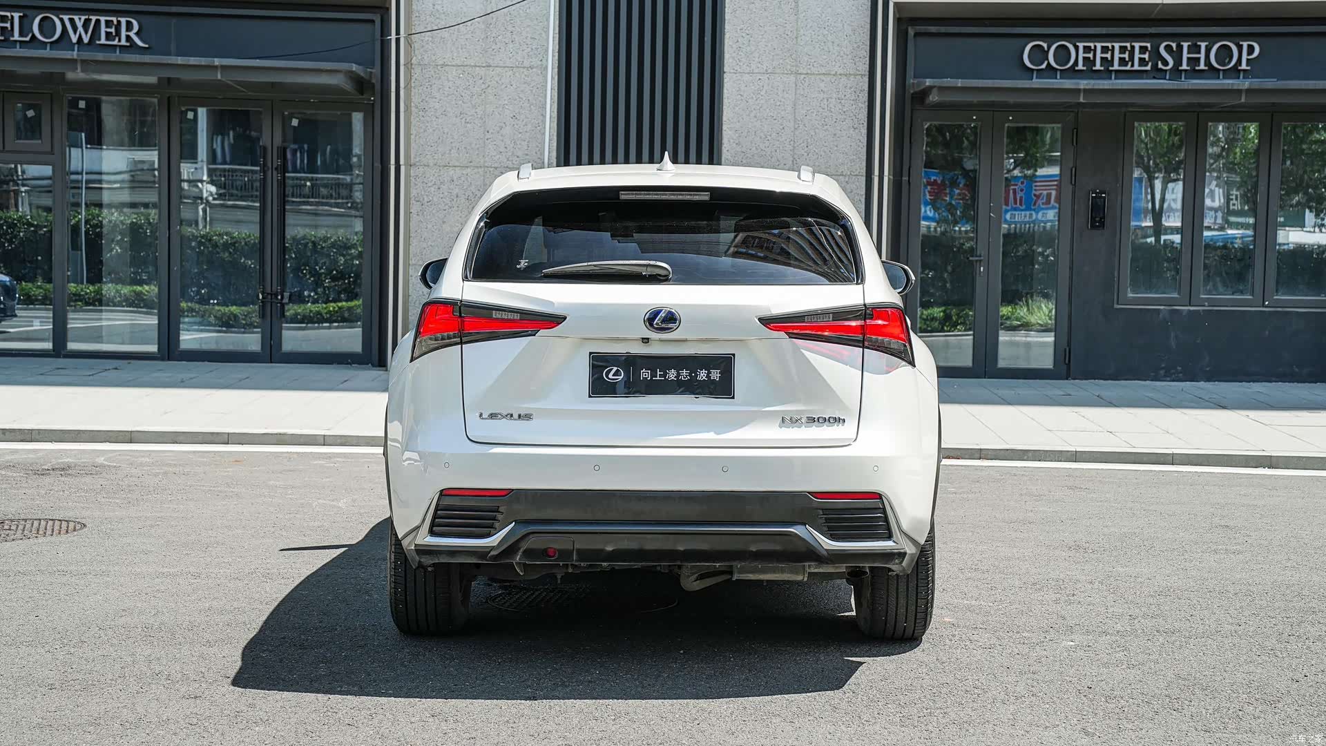 Lexus NX, 2019 все фото