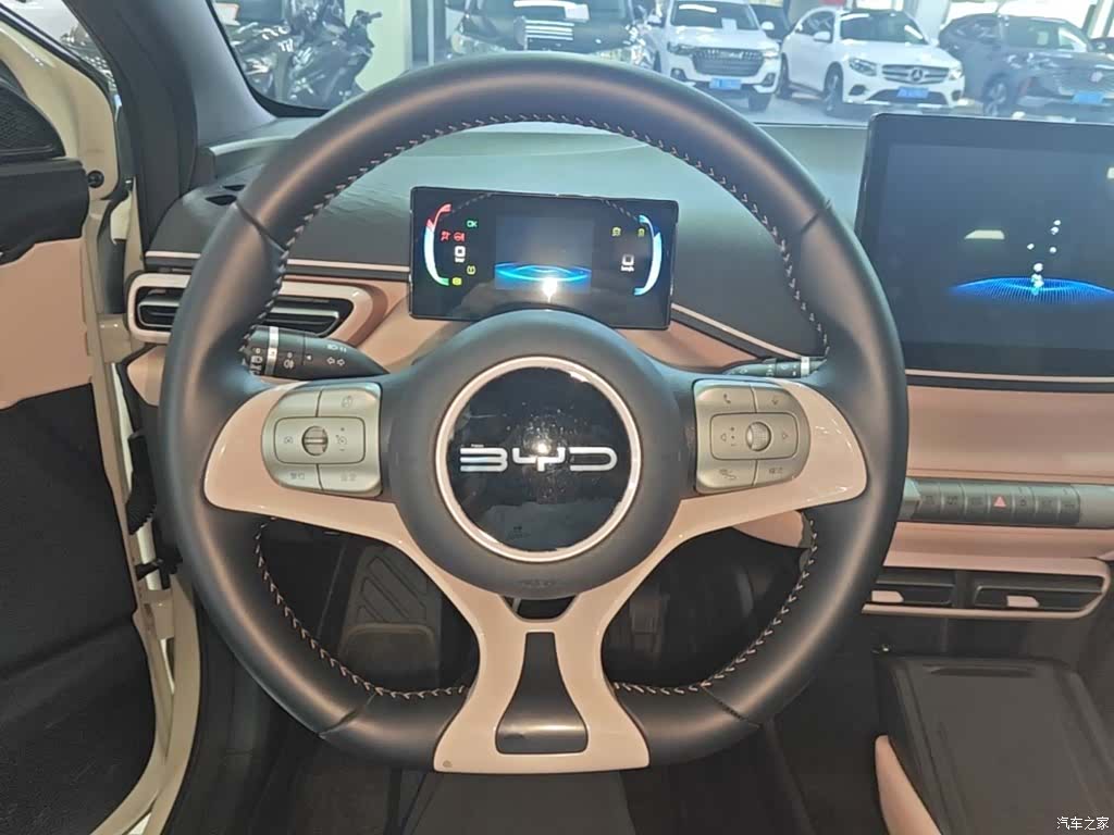 BYD Seagull, 2024 11