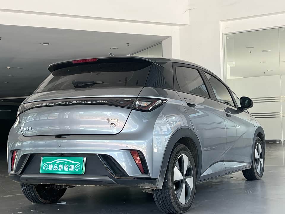 BYD dolphin