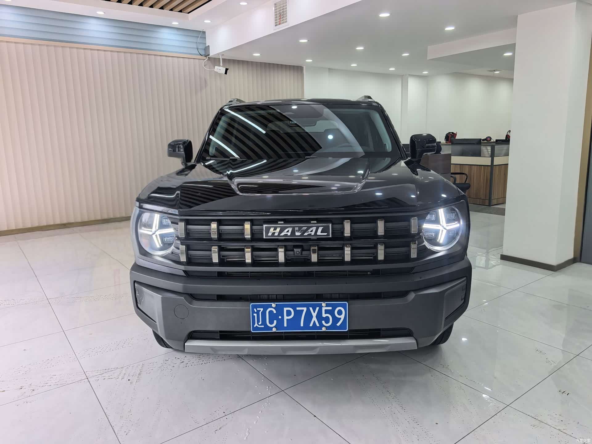Haval Cool Dog, 2023 2