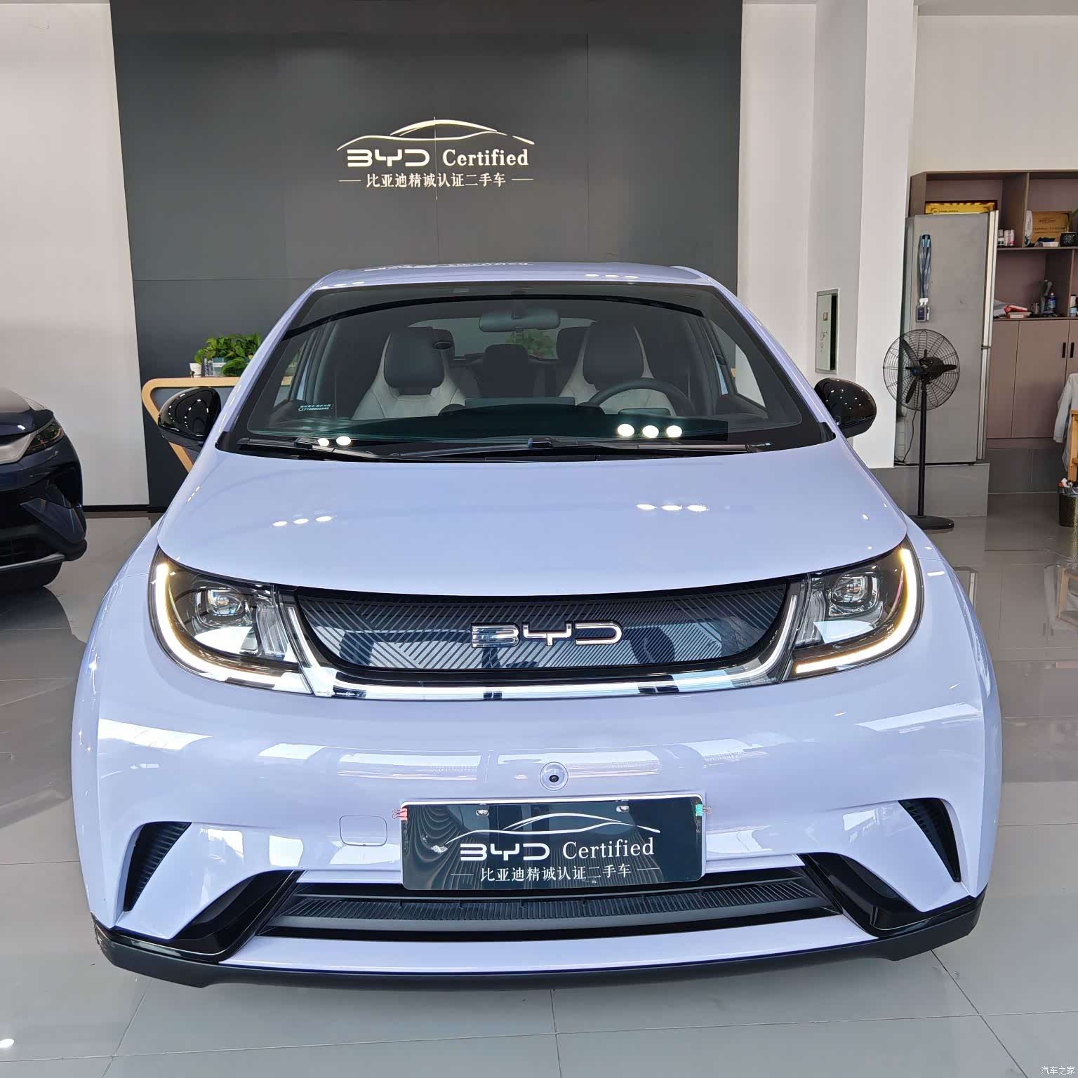 BYD Dolphin, 2023 2
