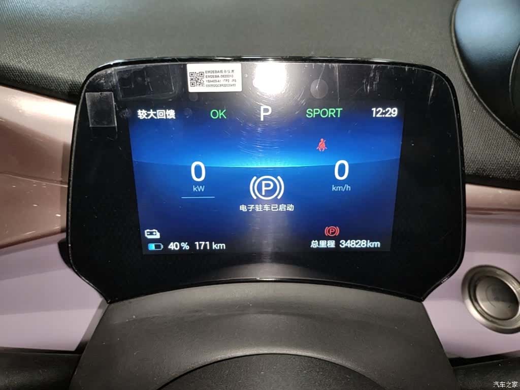 BYD Dolphin, 2024 12