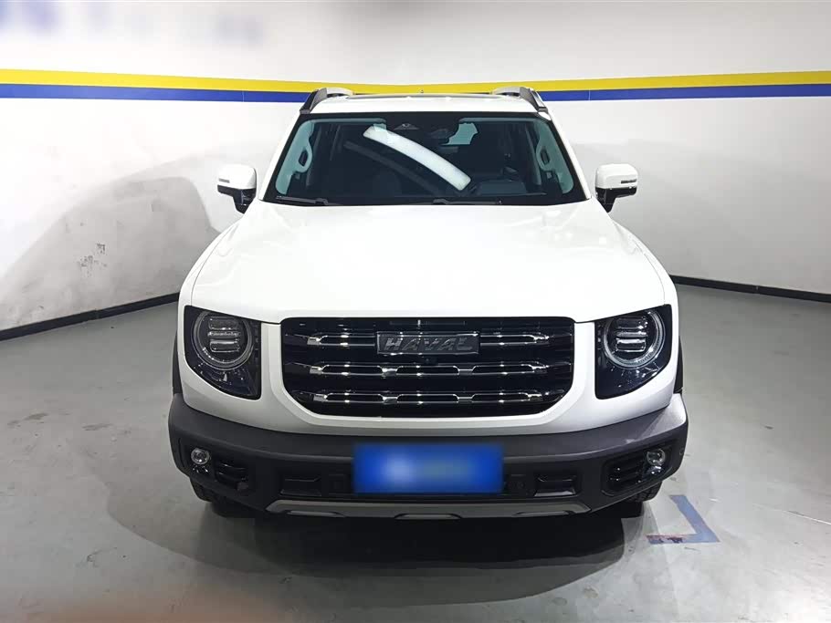 Haval Big dog
