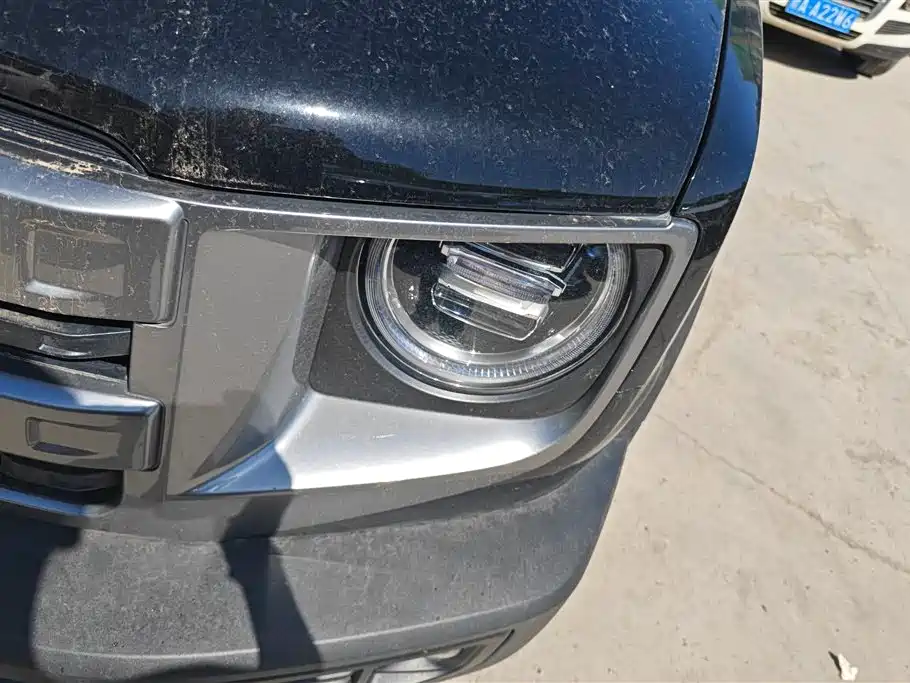 Haval Big dog