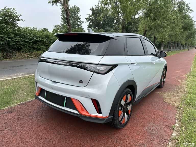 BYD Dolphin, 2023 8