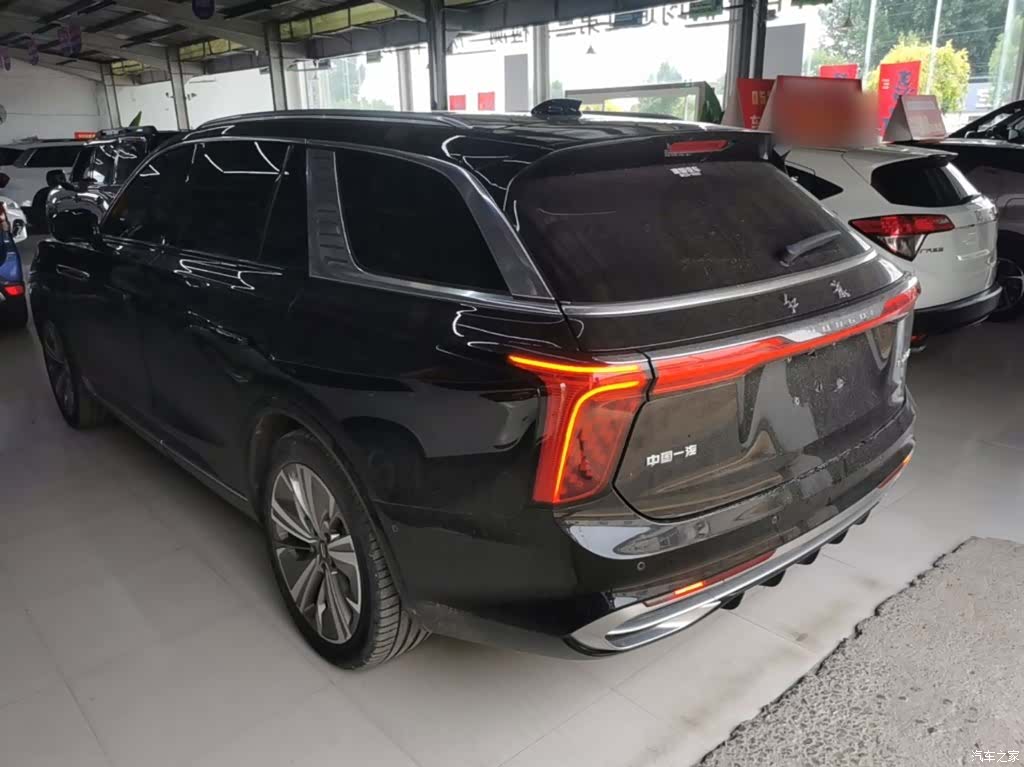 Hongqi E-HS9, 2023 все фото