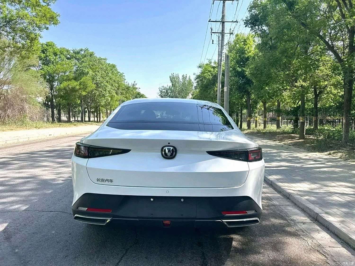 Changan Eado, 2024 все фото