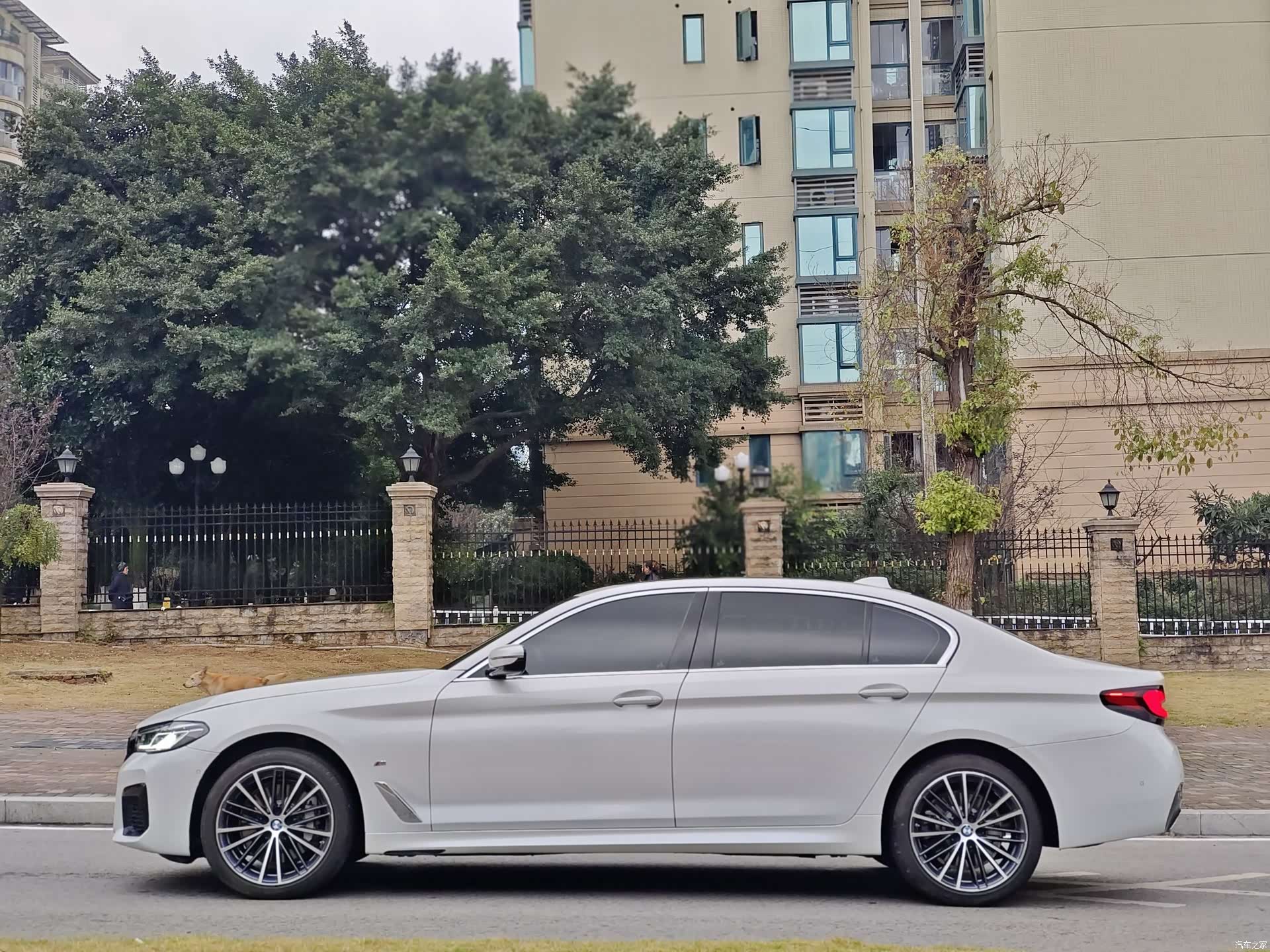 BMW 5 Series, 2024 4