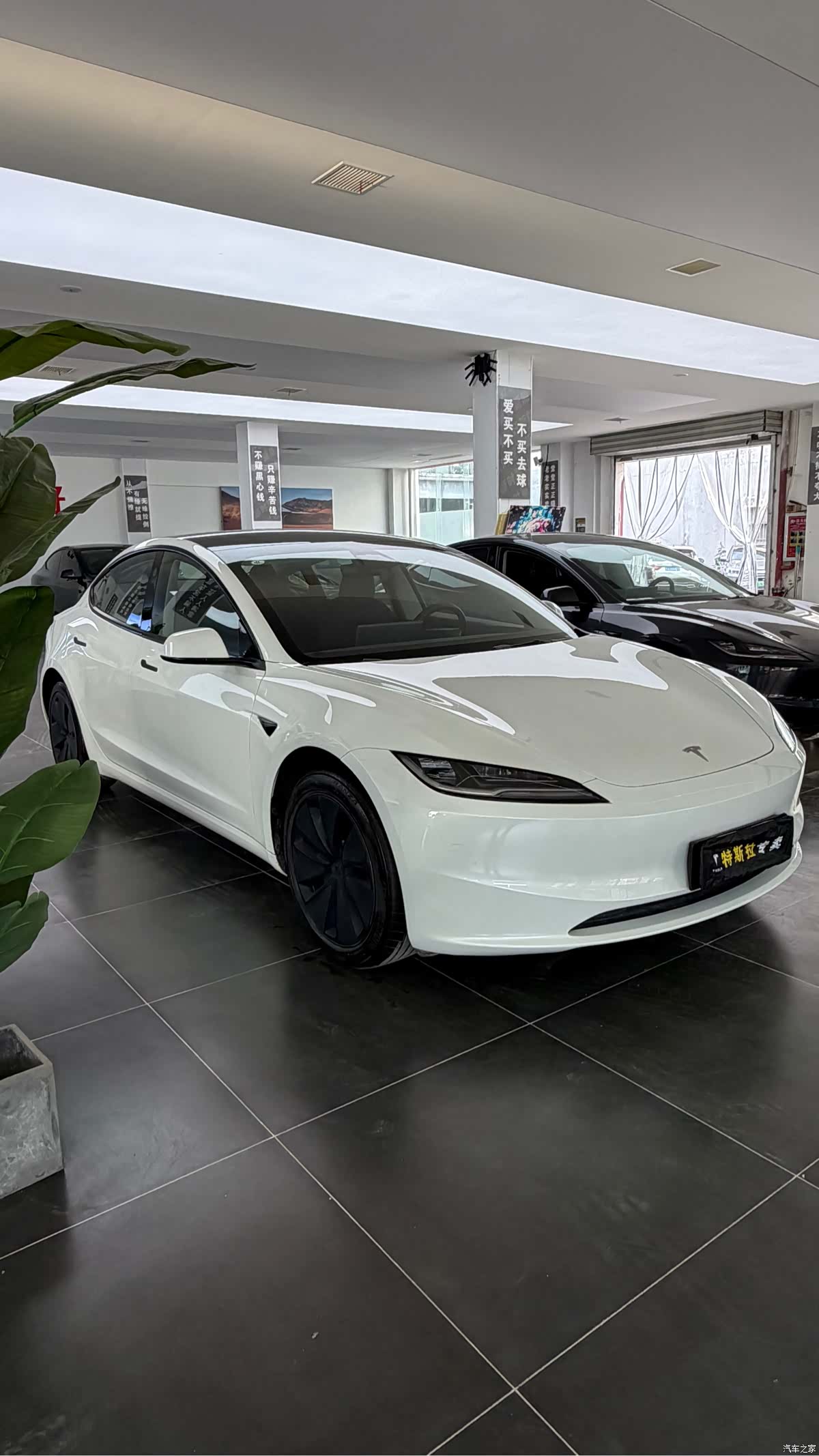 Tesla Model 3, 2025 3